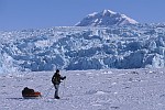Exp&eacute;ditions &agrave; ski de randonn&eacute;e nordique dans l'Arctique.